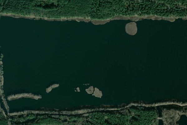 Image satellite des environs de Waldteich Daubitz