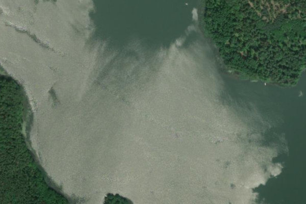 Image satellite des environs de Fährsee (Templin)