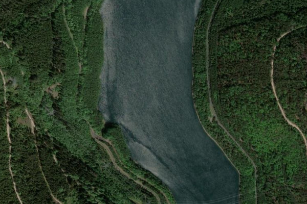 Image satellite des environs de Talsperre Leibis