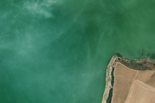 Image satellite des environs de Embalse de Bornos