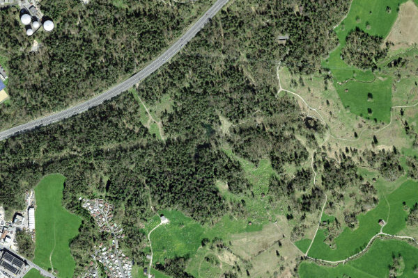 Image satellite des environs de Goldseeli (Goldau)