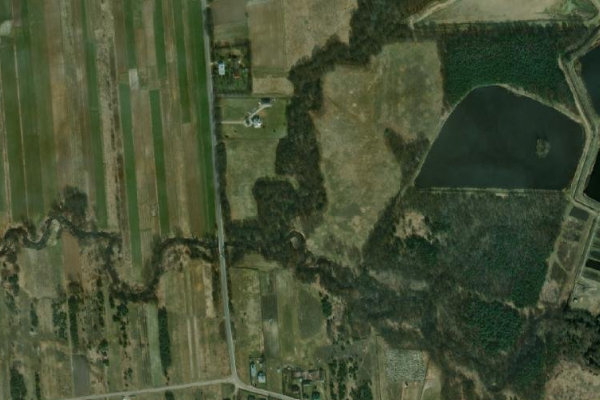 Image satellite des environs de Branew (Jarocin)