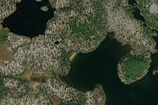 Image satellite des environs de Nedre Roasten