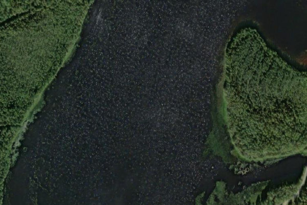 Image satellite des environs de Kypasjärv