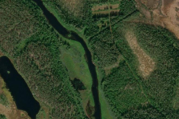 Image satellite des environs de Borgsjön (Åsele)