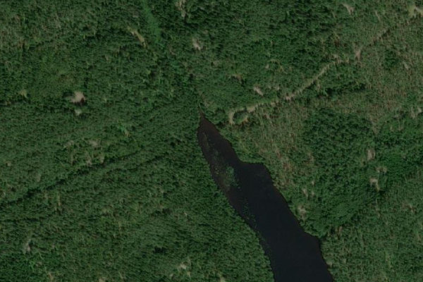 Image satellite des environs de Sävsjön (Högsby)