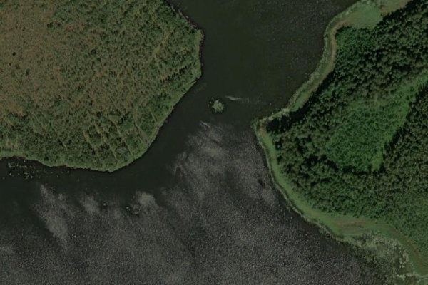 Image satellite des environs de Konsu järv
