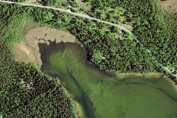 Image satellite des environs de Karujärv