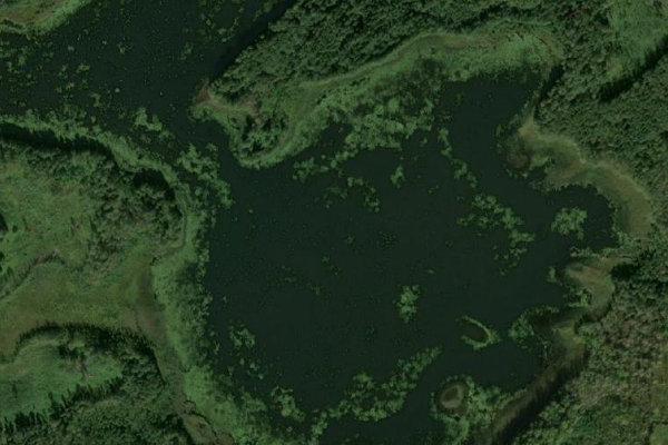 Image satellite des environs de Ilza ezers