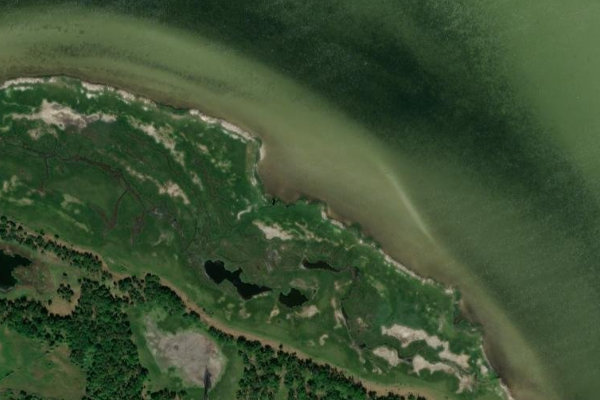 Immagine satellitare dei dintorni di Freesendorfer Haken