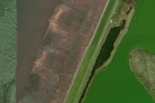 Immagine satellitare dei dintorni di Cecilienkoog