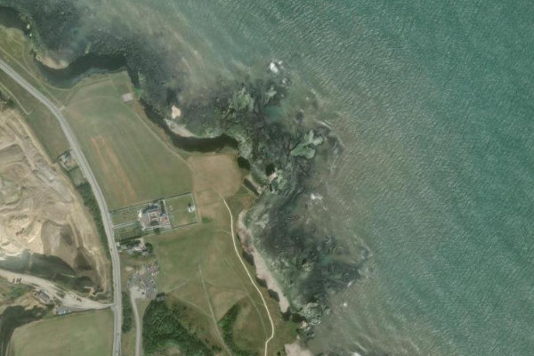 Immagine satellitare dei dintorni di Lizard Point