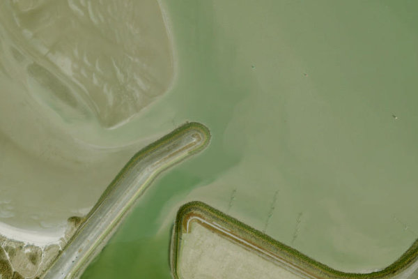 Immagine satellitare dei dintorni di Stellendam