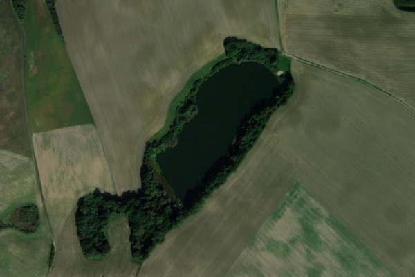 Immagine satellitare dei dintorni di Berliner See (Buggenhagen)