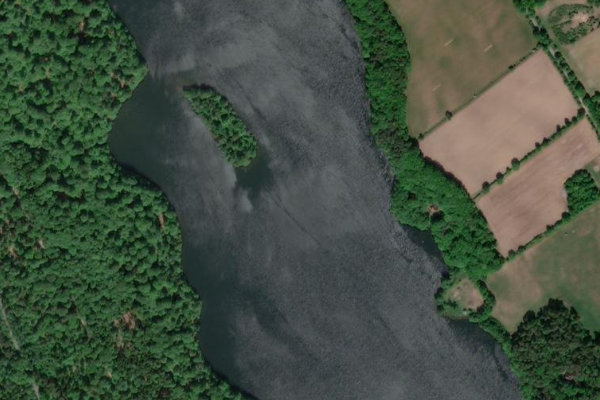 Immagine satellitare dei dintorni di Drüsensee