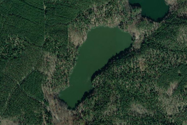 Immagine satellitare dei dintorni di Schwanensee (Gr. Wasserburg)