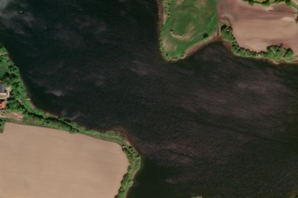 Immagine satellitare dei dintorni di Süseler See