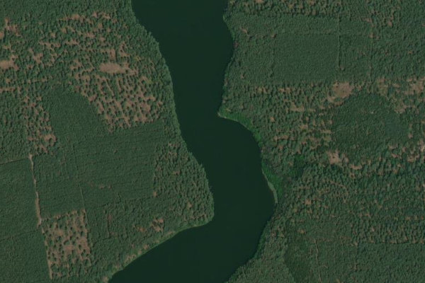 Immagine satellitare dei dintorni di Schwansee (Jamlitz)