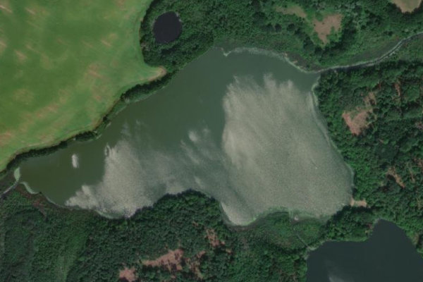 Immagine satellitare dei dintorni di Schumellensee