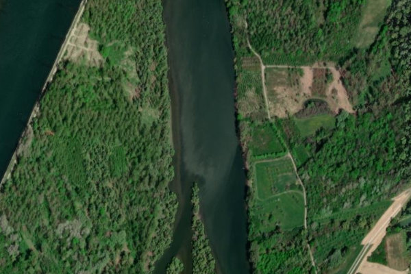 Immagine satellitare dei dintorni di Illinger Altrhein