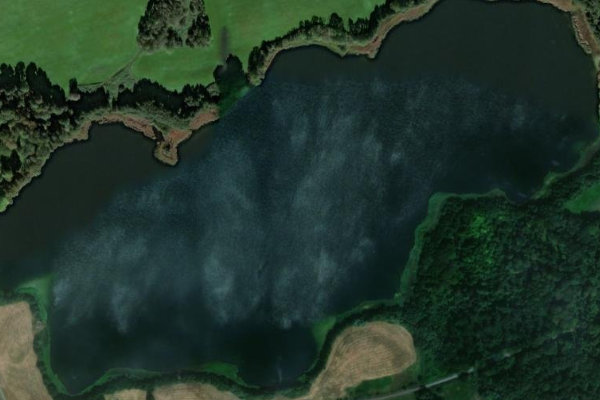 Immagine satellitare dei dintorni di Penzliner See