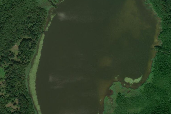 Immagine satellitare dei dintorni di Hofsee (Speck)