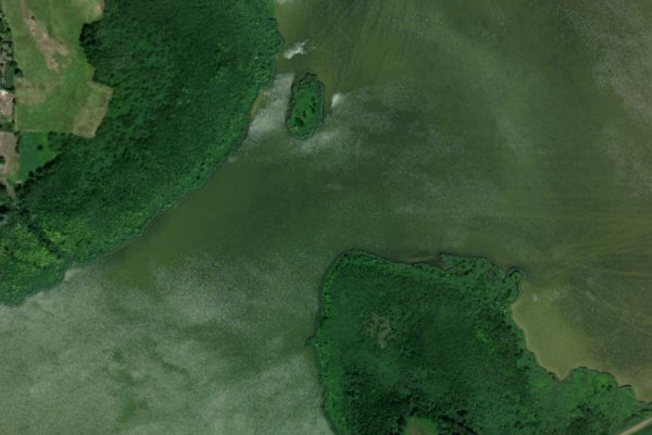 Immagine satellitare dei dintorni di Rietzer See