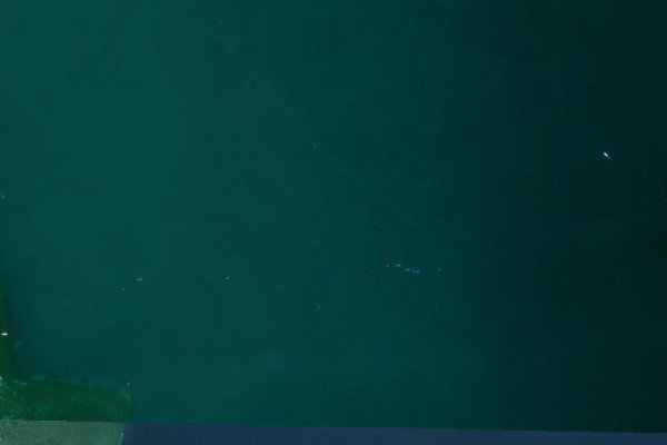 Immagine satellitare dei dintorni di Bodensee (Zeller See/Untersee)