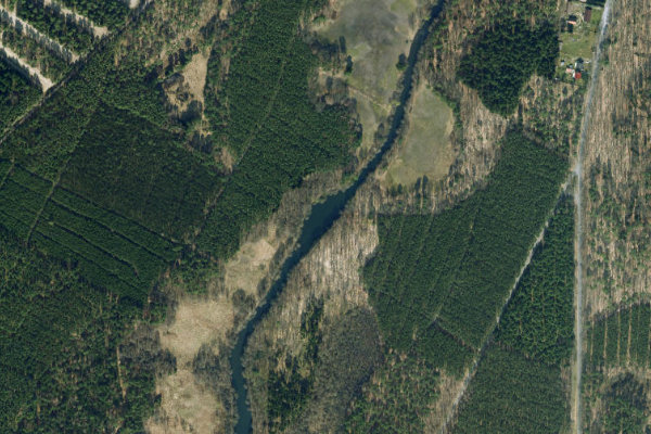 Immagine satellitare dei dintorni di Werbellinkanal