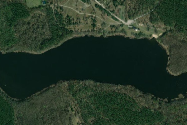 Immagine satellitare dei dintorni di Wolzensee