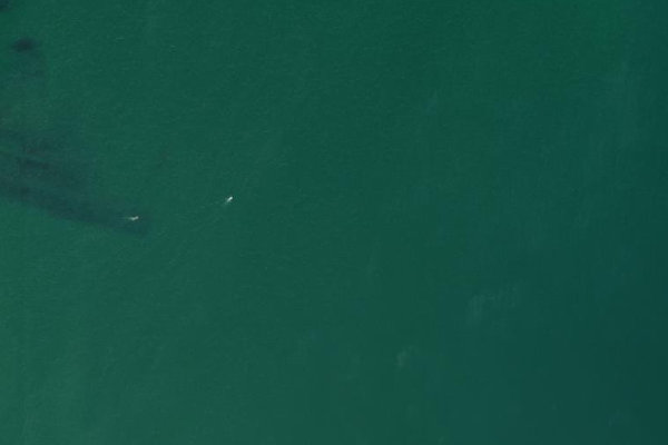 Immagine satellitare dei dintorni di Störmthaler See