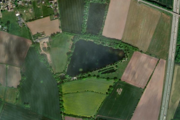 Immagine satellitare dei dintorni di Looper See