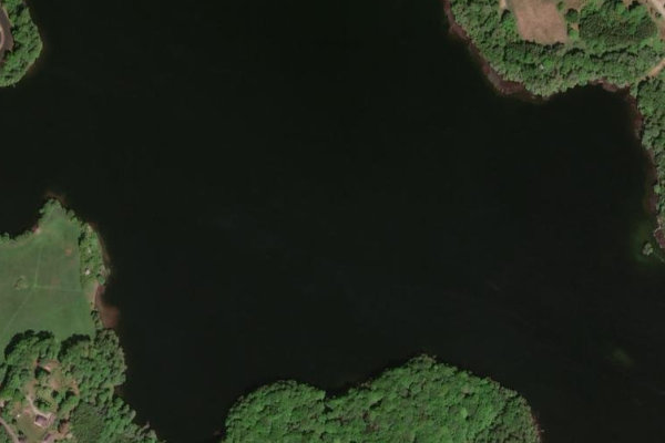 Immagine satellitare dei dintorni di Goldensee