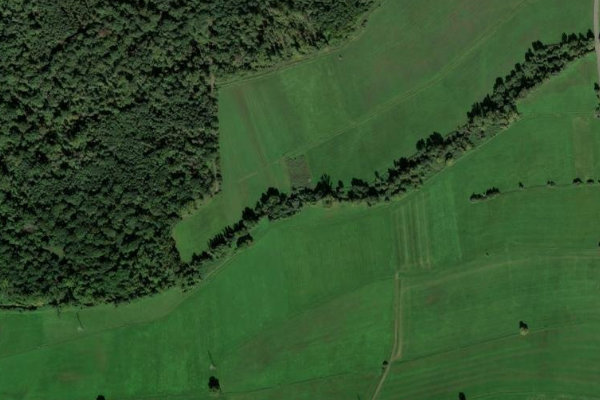 Immagine satellitare dei dintorni di Queich (Offenbach/Queich)