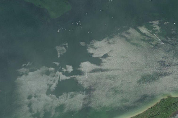 Immagine satellitare dei dintorni di Lac de Madine
