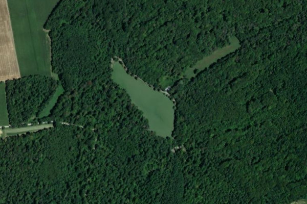 Immagine satellitare dei dintorni di Riedweiher (Galfingue)