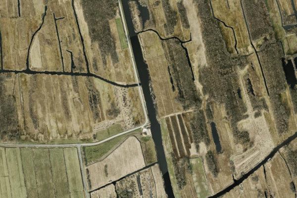 Immagine satellitare dei dintorni di Arembergergracht