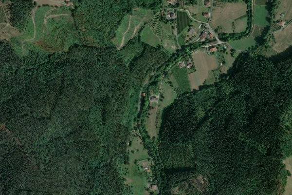 Immagine satellitare dei dintorni di Arantzazu (Oñati)