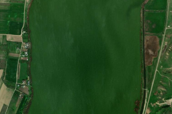 Immagine satellitare dei dintorni di Lacul Lozova (Brăniștea)