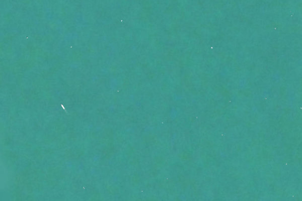 Immagine satellitare dei dintorni di Hallwilersee