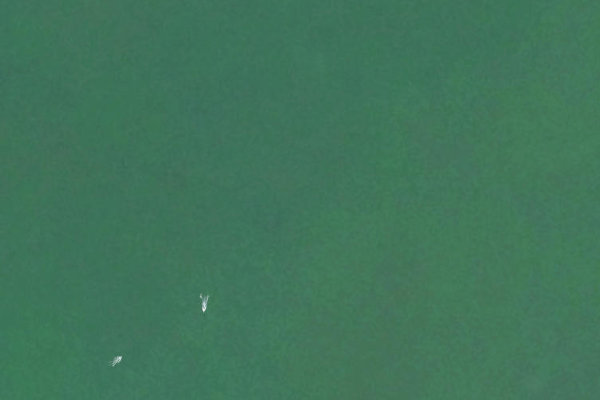 Immagine satellitare dei dintorni di Murtensee