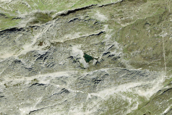 Immagine satellitare dei dintorni di Totensee (Bellwald)