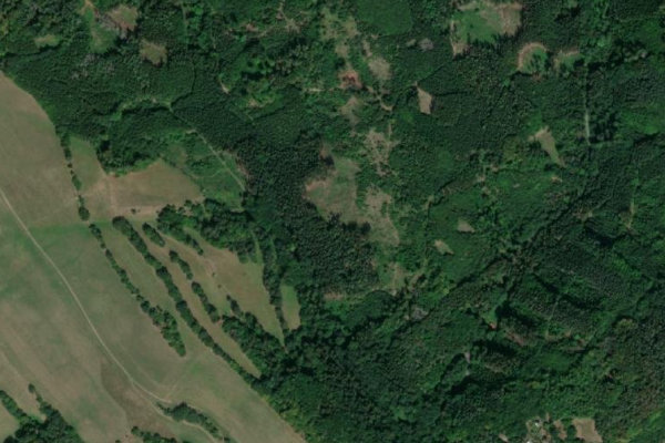 Immagine satellitare dei dintorni di Lednice (Mírov)