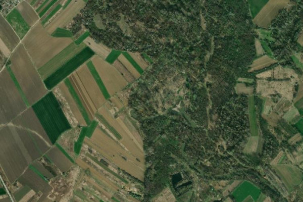 Immagine satellitare dei dintorni di Pek – Rabrovo