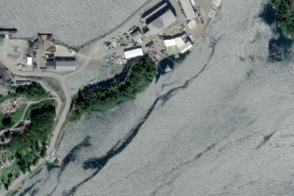 Immagine satellitare dei dintorni di Bolgvågen