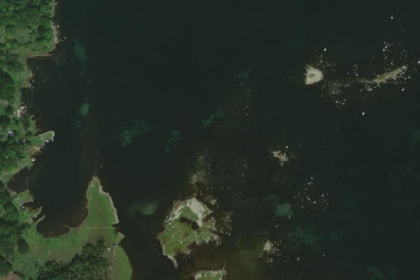 Immagine satellitare dei dintorni di Mansvik