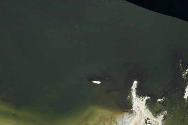 Immagine satellitare dei dintorni di Toolse neem