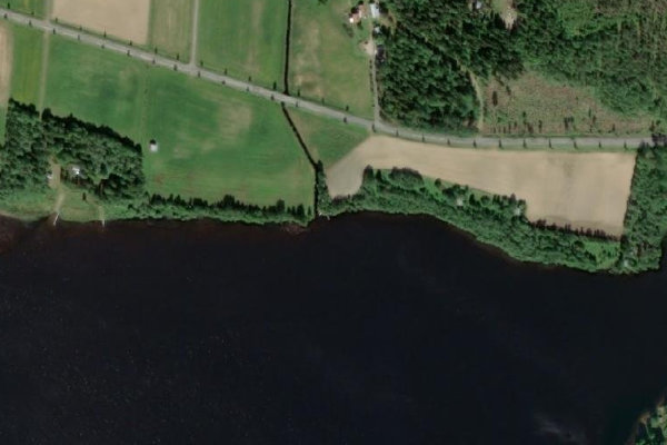 Immagine satellitare dei dintorni di Trehörningen (Umeå)