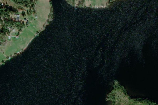 Immagine satellitare dei dintorni di Singsjön