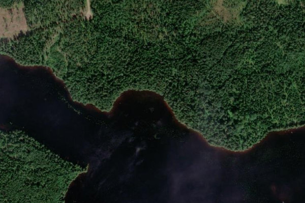 Immagine satellitare dei dintorni di Vittersjön